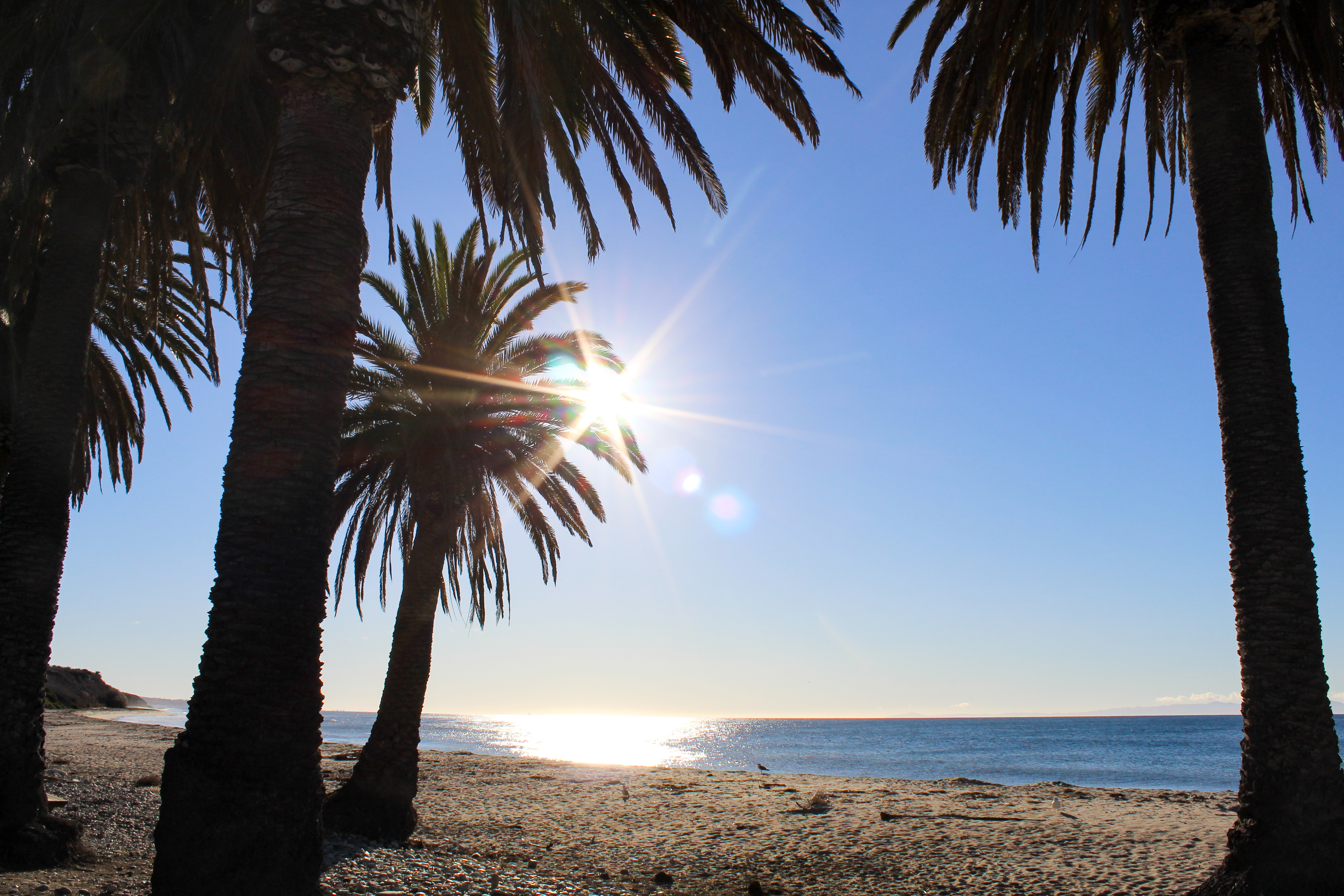 Refugio State Beach
